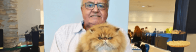 gato gatil difurini gatil gato persa filhote gato persa cat gato persa exótico gatil criação filhote de gato cat kitten kitty criação criador cbg