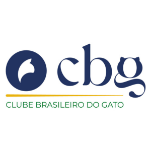 gato gatil difurini gatil gato persa filhote gato persa cat gato persa exótico gatil criação filhote de gato cat kitten kitty criação criador cbg